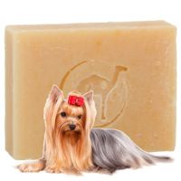Фото Идея сделать особое мыло для собак родилась у осно